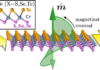 Field-Free Spin–Orbit Torque Switching in Janus Chromium Dichalcogenides